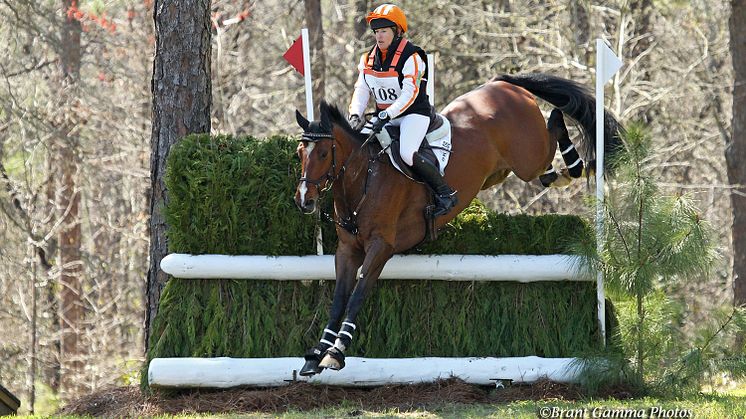 Yanmar America will sponsor the CCI4*-S division at the 10th Annual Carolina International CCI and Horse Trial.