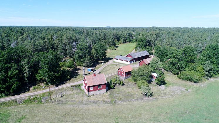 Vi söker en jordbruksarrendator vid Ängeholm