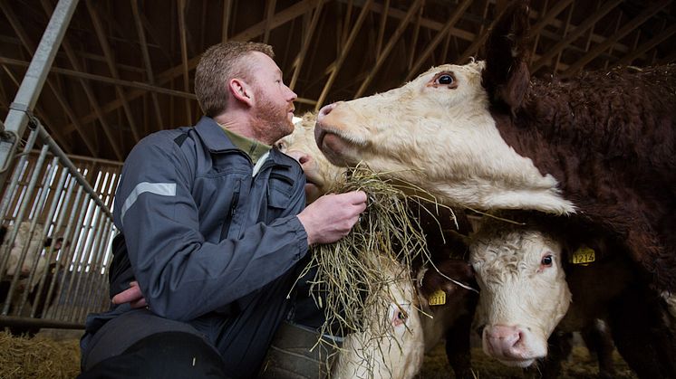 Foto: Norges Bondelag