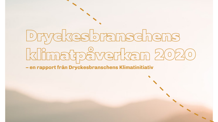 DKI-rapport 2020_svenska .pdf