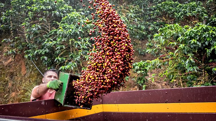 Finca de Eladio Mantero Rivera Costa Rica.jpg