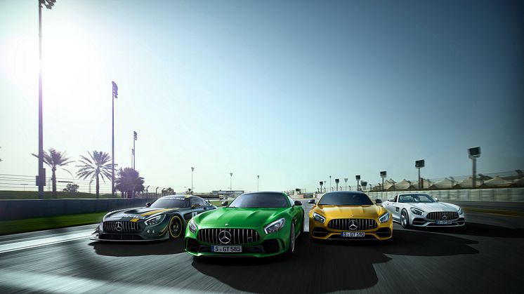 Mercedes-AMG GT-familien