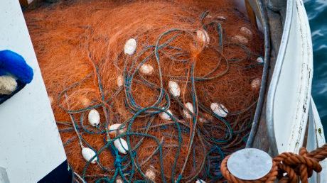 HaV stoppar kustfiske efter sill och skarpsill i Östersjön