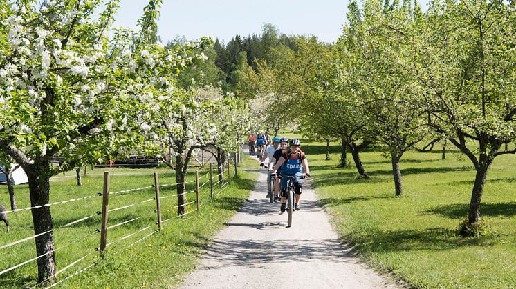 Familjevänliga friluftsfestivalen Utehelg tillbaka på Värmdö – maxad med aktiviteter 