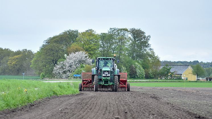 Visit Halland-ängen längs Kattegattleden är sådd. Nu väntar både bin och cyklister på blommorna.