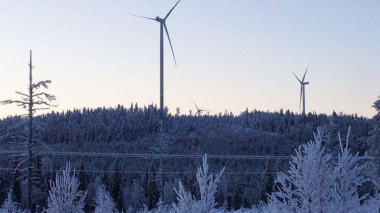 Lapplands Elnät och ONE Nordic får order i hundramiljonersklassen vid bygget av vindkraftparken i Lehtirova.