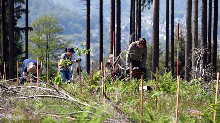 Foto: Frank A. Reinhardt; burgbad