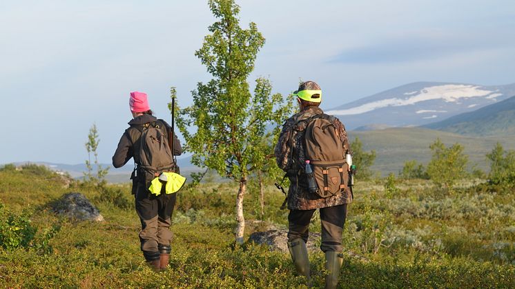 Positiva resultat för jägarna i Sverige