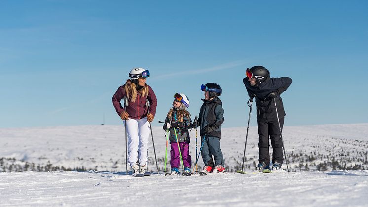 Sälen familj 2017