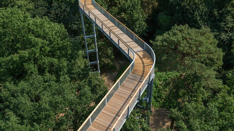 Ideal für einen Familien-Ausflug: Der Baumkronenpfad "Baum & Zeit" Beelitz-Heilstätten. Foto: TMB-Fotoarchiv/Steffen Lehmann. 