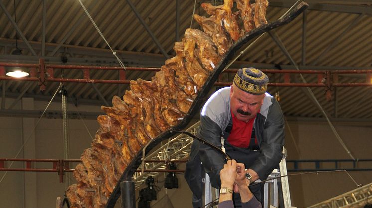 T-rex dinosauriehuvud sätts på plats och dags för invigning!