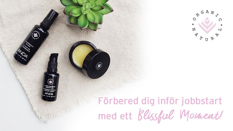 Förbered dig inför jobbstart med ett Blissful Moment!