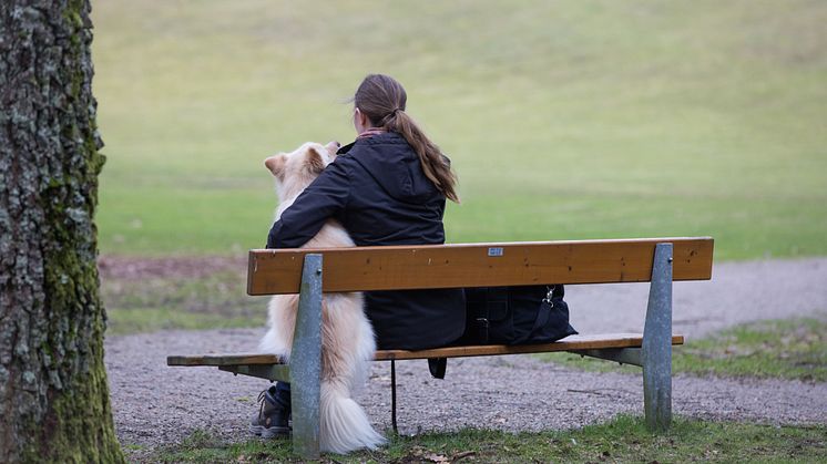 De allra flesta som utsätts för våld i nära relationer är kvinnor. Personen på bilden har inget med texten att göra.