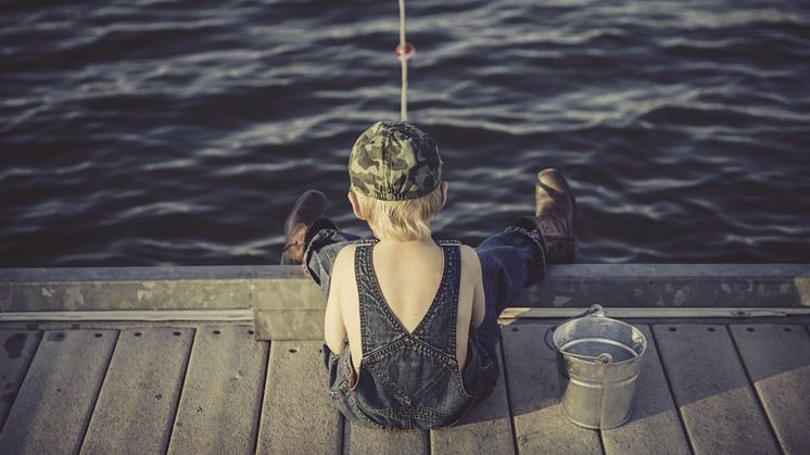 Den svenska fiskeindustrins historia, nutid och framtid