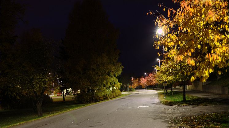 Forskning pågår om belysningens ekologiska effekter på djur och natur.