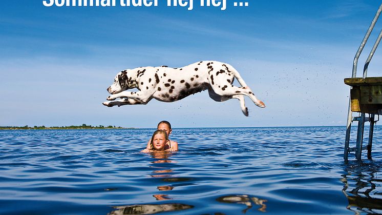 Sommartider för hunden - vykortskampanj