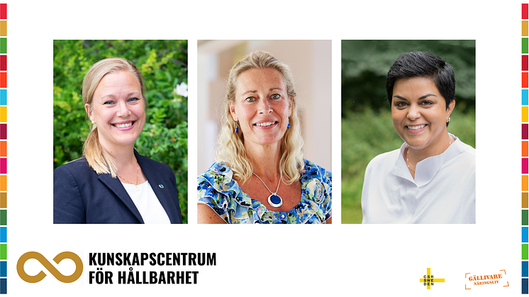 Annelie Börjesson, Annika Ramsköld,  Parul Sharma i digitalt panelsamtal 24 november 2020