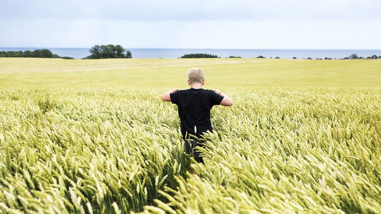 Foto: Symbolbilder