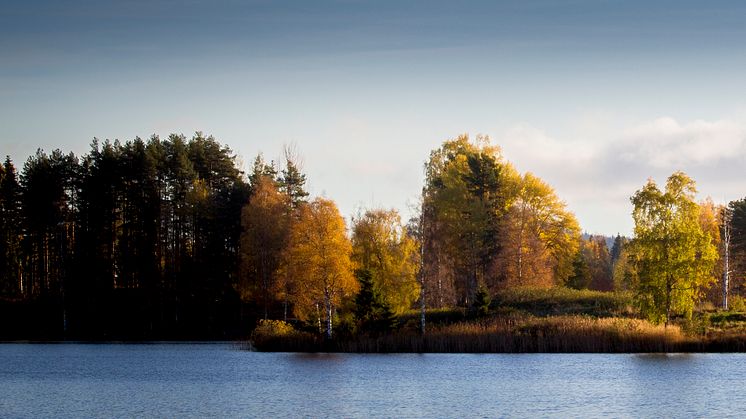 Läget på elmarknaden oktober