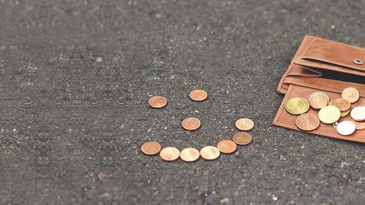 Auch das Geld entscheidet über die Studien- und Berufswahl