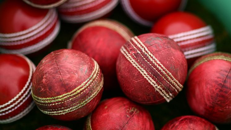 Cricket balls 24.jpg