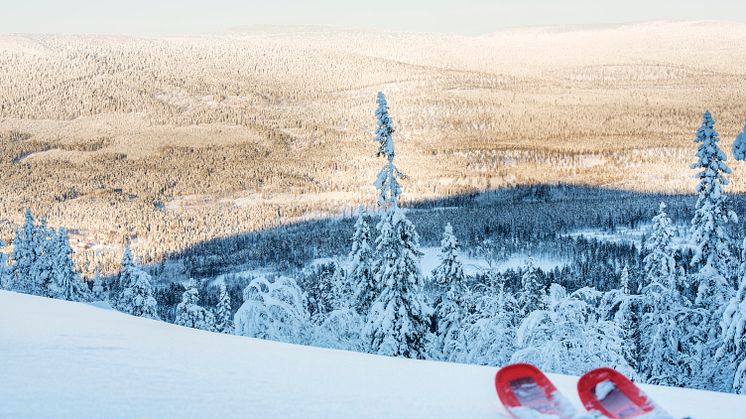 Ihållande minusgrader och regelbundet snöfall som fortsatt även efter jul- och nyårshelgerna har lagt en stabil grund både i och utanför pisterna.