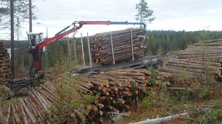 Skogsnäringens framtida kompetensförsörjning