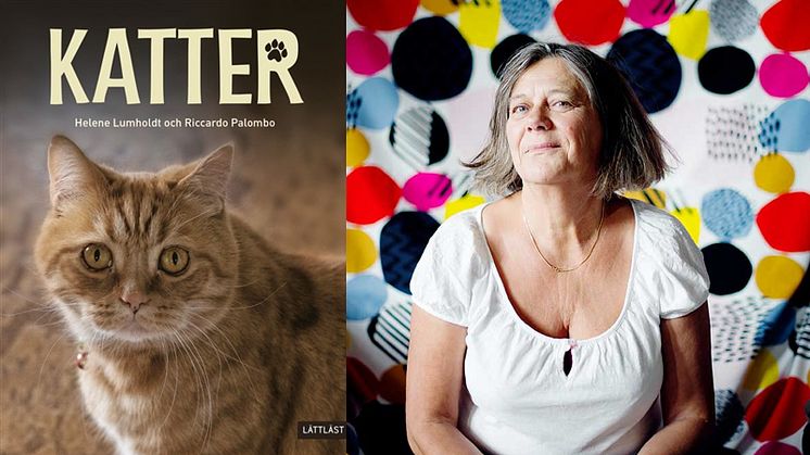 Omslaget till Katter. Helene Lumholdt, foto: Anna Svanberg