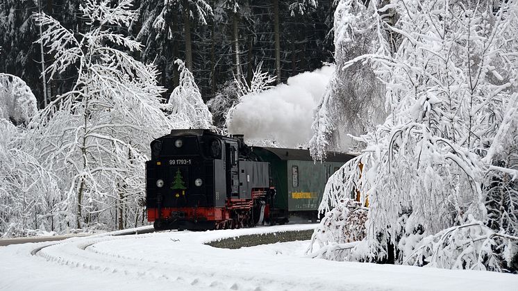 Weißeritztalbahn (Foto: SDG) 