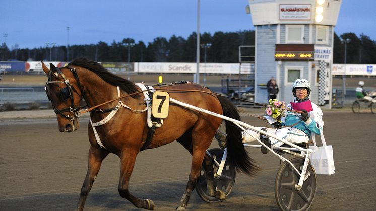 Delicious U.S. klar för Elitloppet Benders