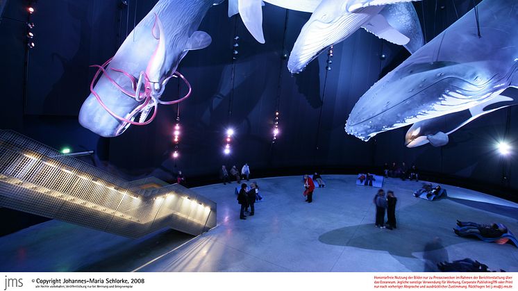 Årets museum i Europa: Ozeaneum i Stralsund 