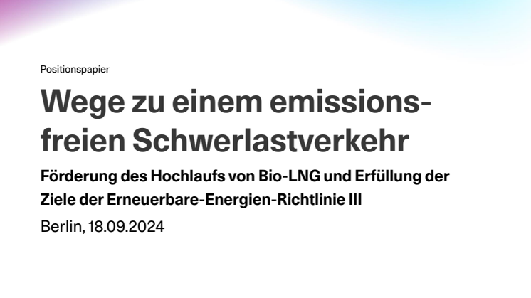 Positionspapier Zukunft Gas_Förderung Hochlauf Bio-LNG_final.pdf