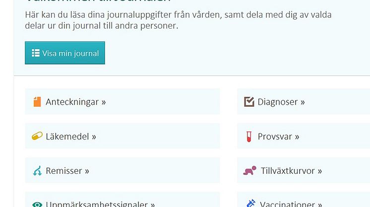 Skärmdump från Journalen på nätet.