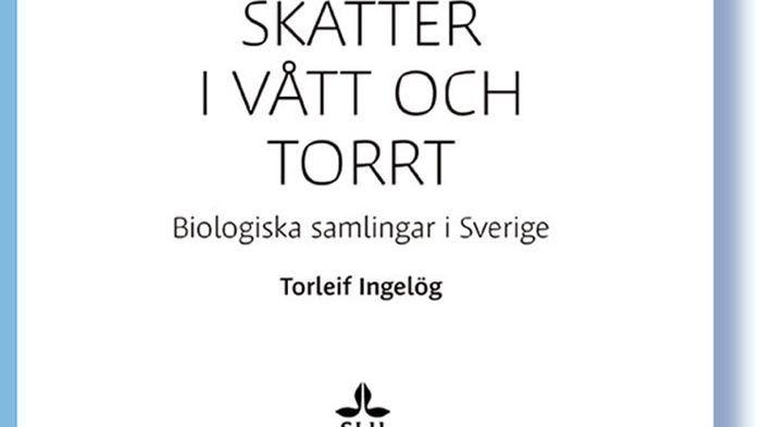 Boksläpp: Skatter i vått och torrt