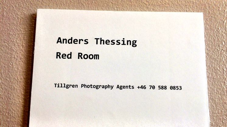 Bildtext till verket Red Room av Anders Thessing