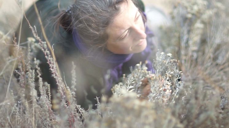 Viktoriia Khoroshylova presenterar nya verket Our bodies are seeds 23 sept under Malmö Gallerihelg 2022 på Mitt Möllan