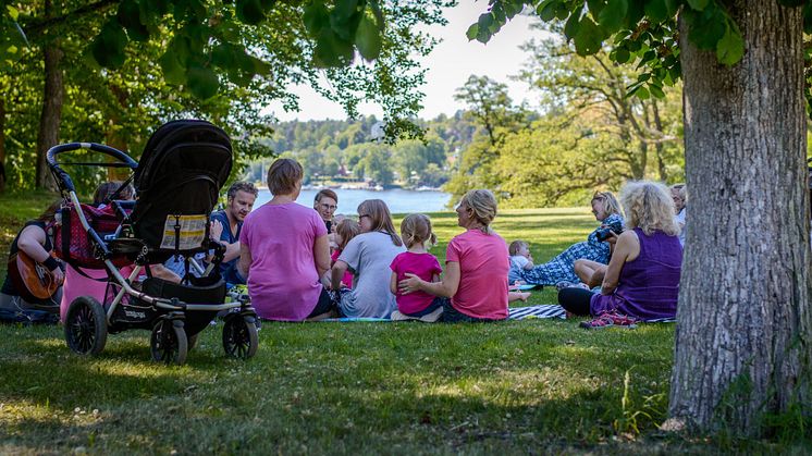 Svenska Downföreningens Babyläger sommaren 2020