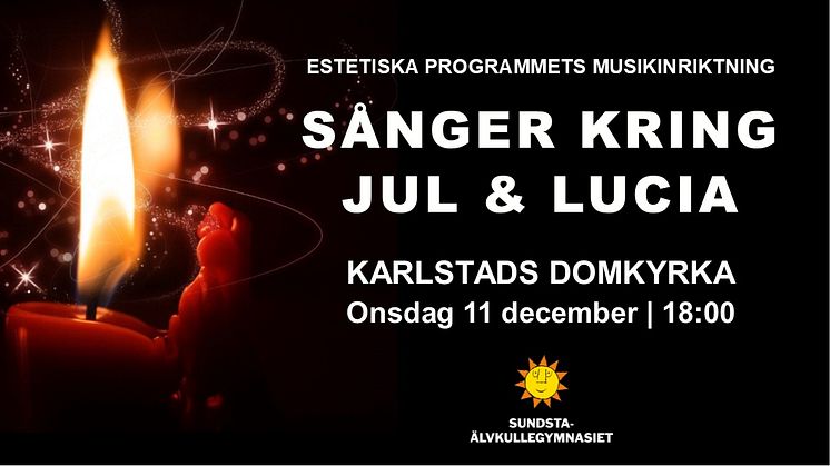 Pressinbjudan: Välkommen på julkonsert i Karlstads domkyrka