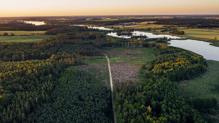 Påverkar strandskyddet fastighetsbildningen?