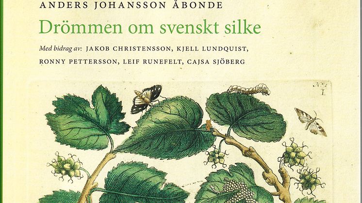 Ny bok: Drömmen om svenskt silke