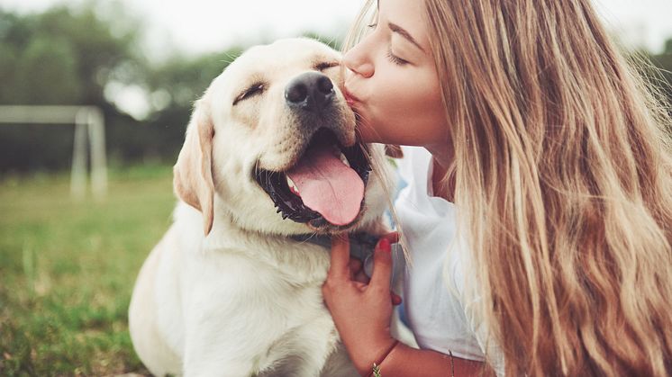 Ohjelmaan vuonna 2020 mukaan päässyt suomalainen OneMind Dogs auttaa omistajia ymmärtämään paremmin koiransa näkökulmaa.
