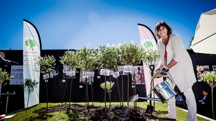 Biståndsminister Isabella Lövin planterar träd för klimatet