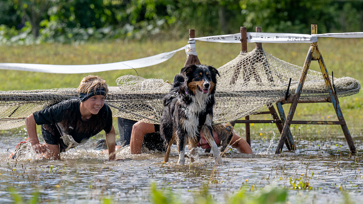 Dacia er hovedsponsor for K9 Biathlon