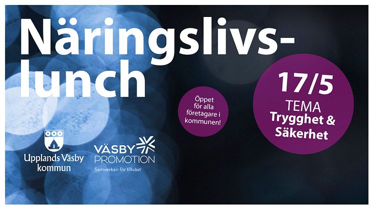 naringslivslunch 17 maj bild