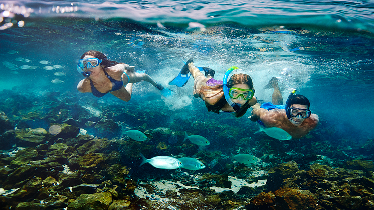 Snorkling på Lobos