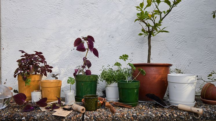 En efterlängtad nyhet i äkta Sagaform-anda  – välkommen kruka Elise