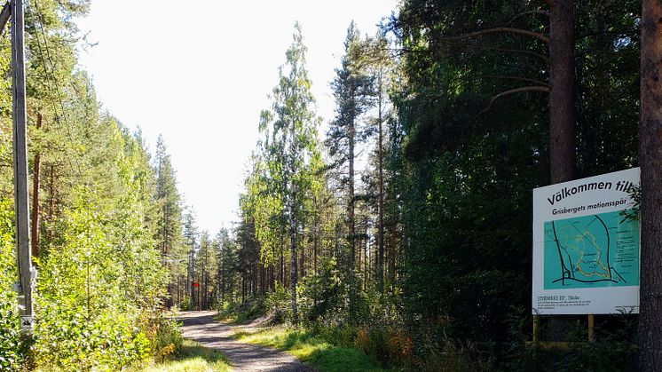 Grisberget är en av Piteås sju klassificerade hälsoslingor. Lördag 10 september genomförs aktiviteter vid två av slingorna.