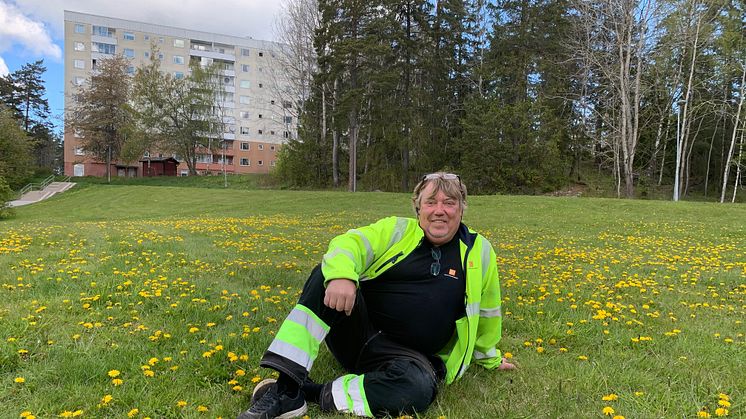 Dennis Cronlund, miljövärd, i en av Botkyrkabyggens insektsrestauranger. Foto: Botkyrkabyggen