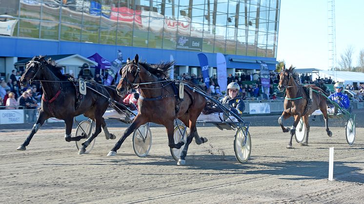 Volstead inbjuden till Elitloppet