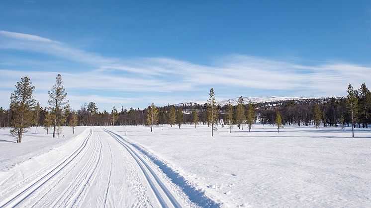 Cross-country skiing in Grövelsjön. Photo: Anna Holm/Visit Dalarna